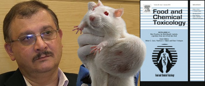 https://joseppamies.files.wordpress.com/2014/12/cbb2e-seralini-tumour-rat-food-and-chemical-toxicology-710px.jpg